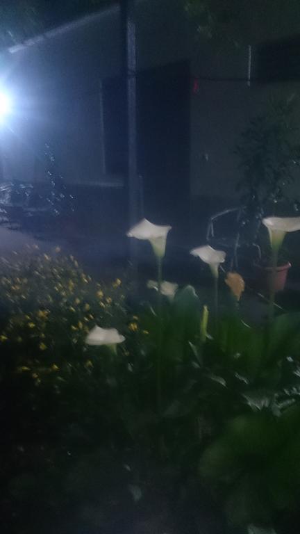 Camping Late จีโรคาสเตอร์ ภายนอก รูปภาพ