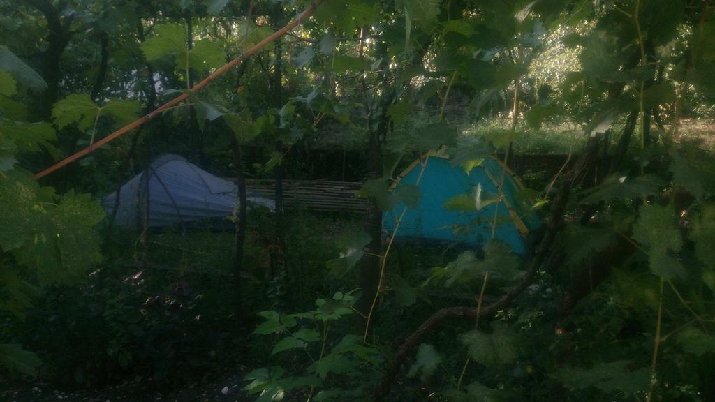 Camping Late จีโรคาสเตอร์ ภายนอก รูปภาพ