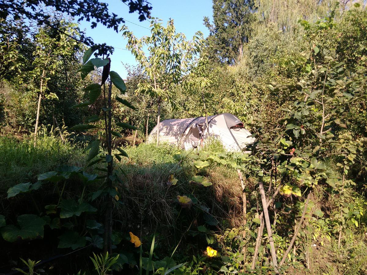 Camping Late จีโรคาสเตอร์ ภายนอก รูปภาพ